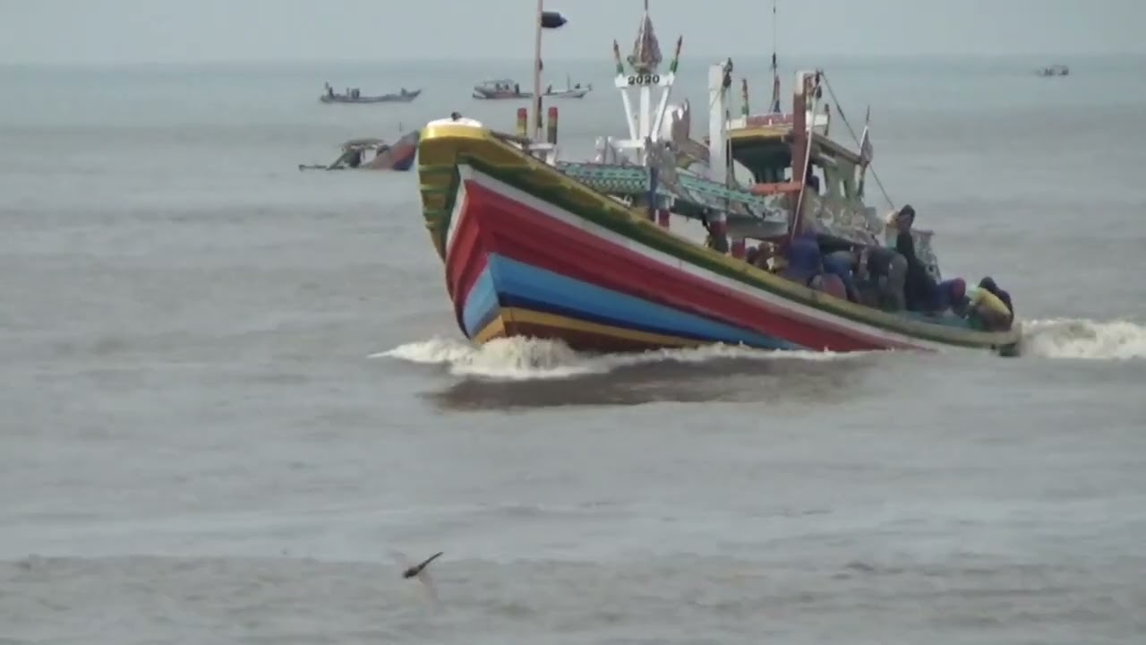 25 Januari 2026 minggu hasil ikan kapalboat, kondisi ombak #plawanganpuger 
