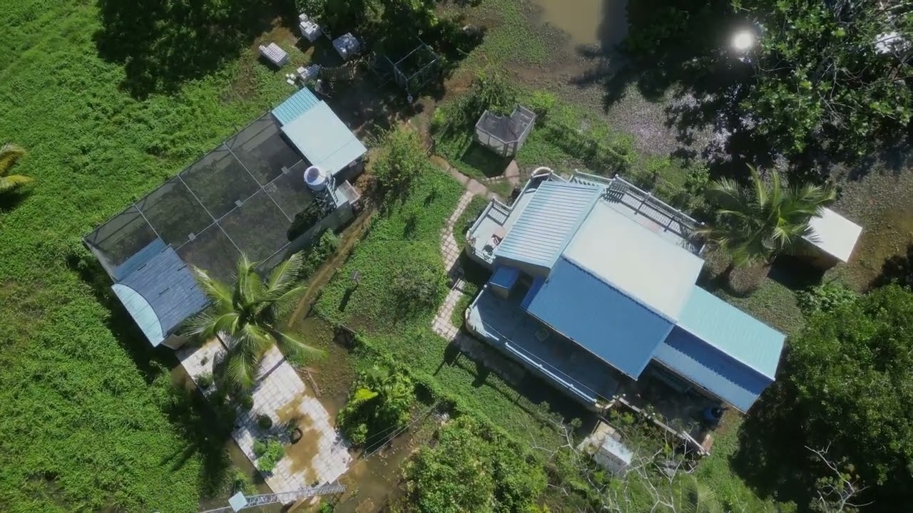 My farm and home in the middle of the jungles of Belize
