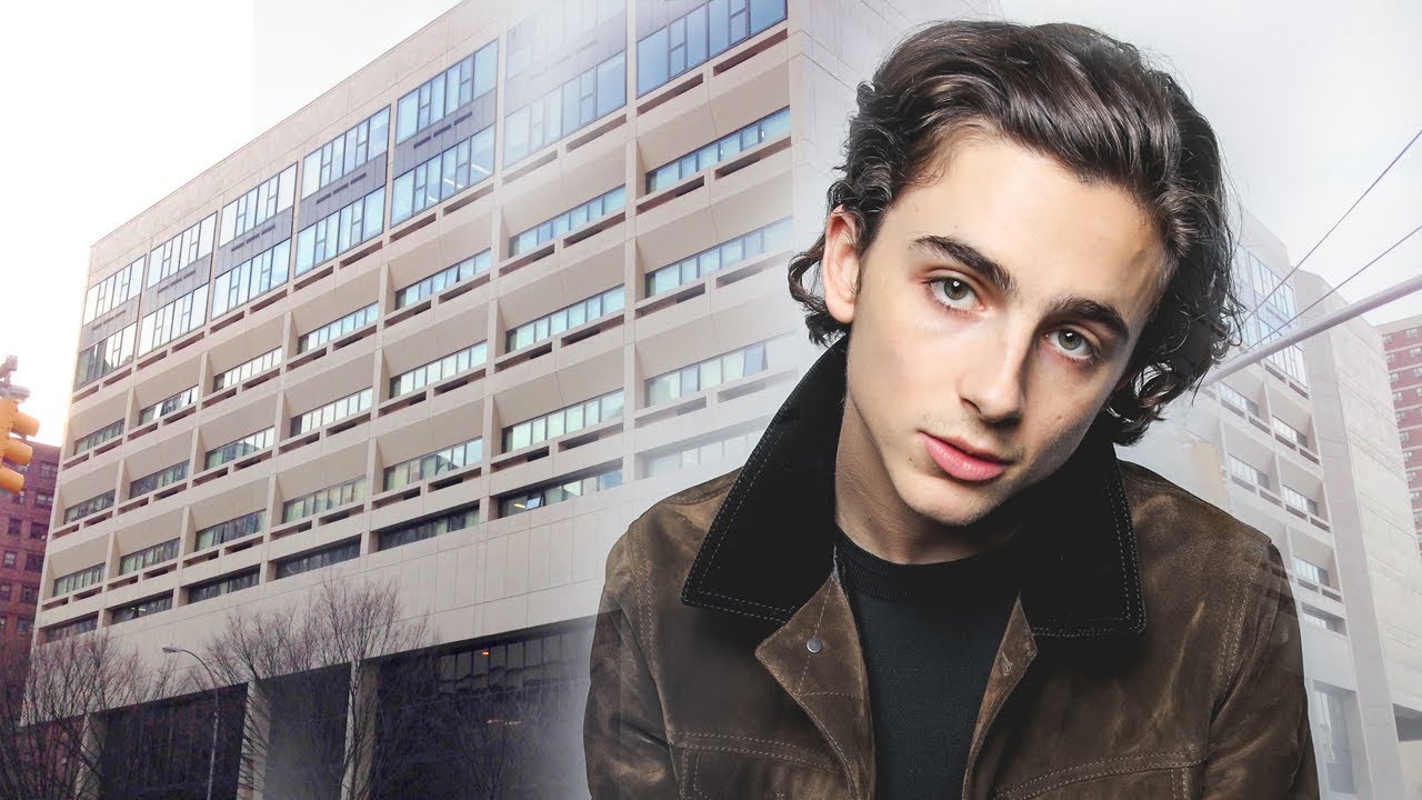 timothée chalamet went to laguardia (compilation)