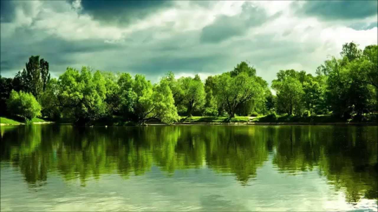ادريس ابكر : وَتَوَكَّلْ عَلَى الْحَيِّ الَّذِي لَا يَمُوتُ