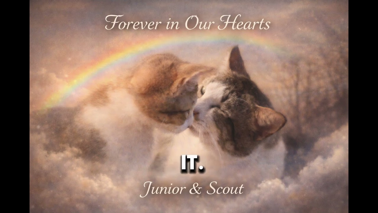 Our Sweet Junior 