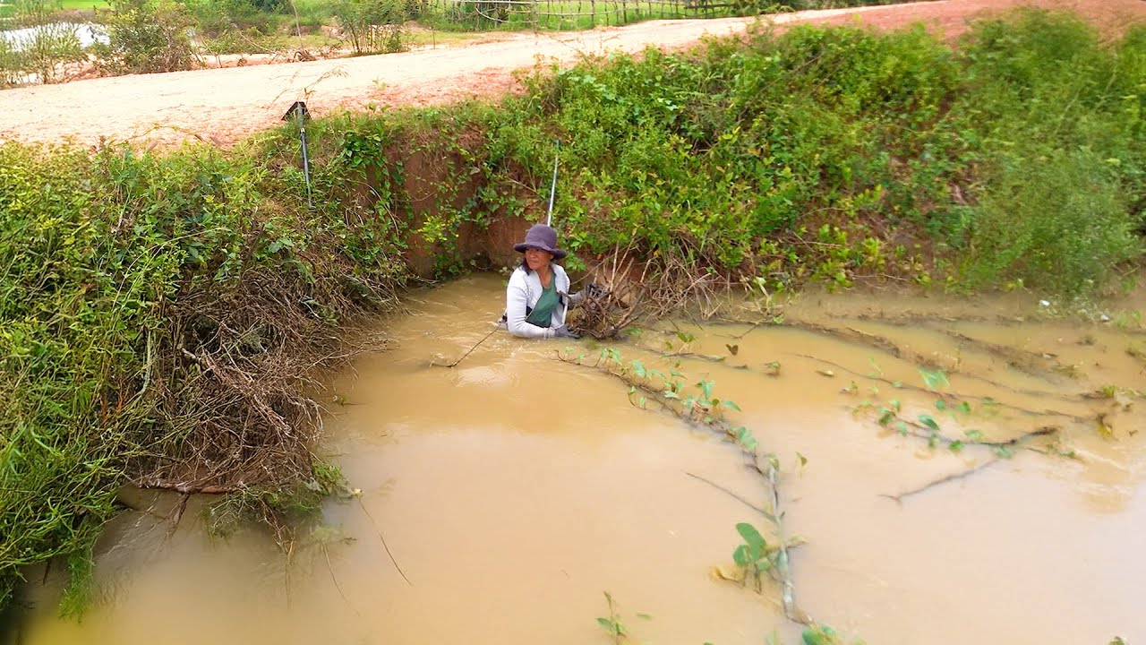 Massive Water Backup Released After Clearing This Culvert