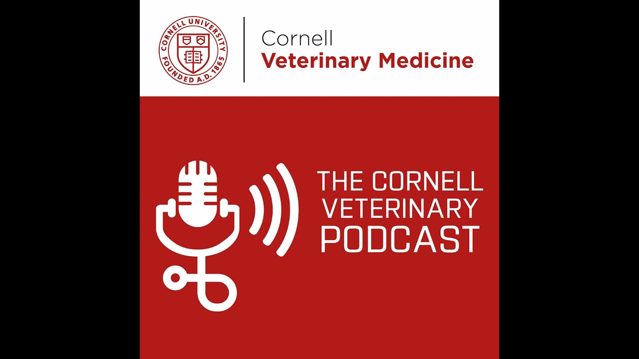 From Dogs to Data: A Journey Through Canine Genetics