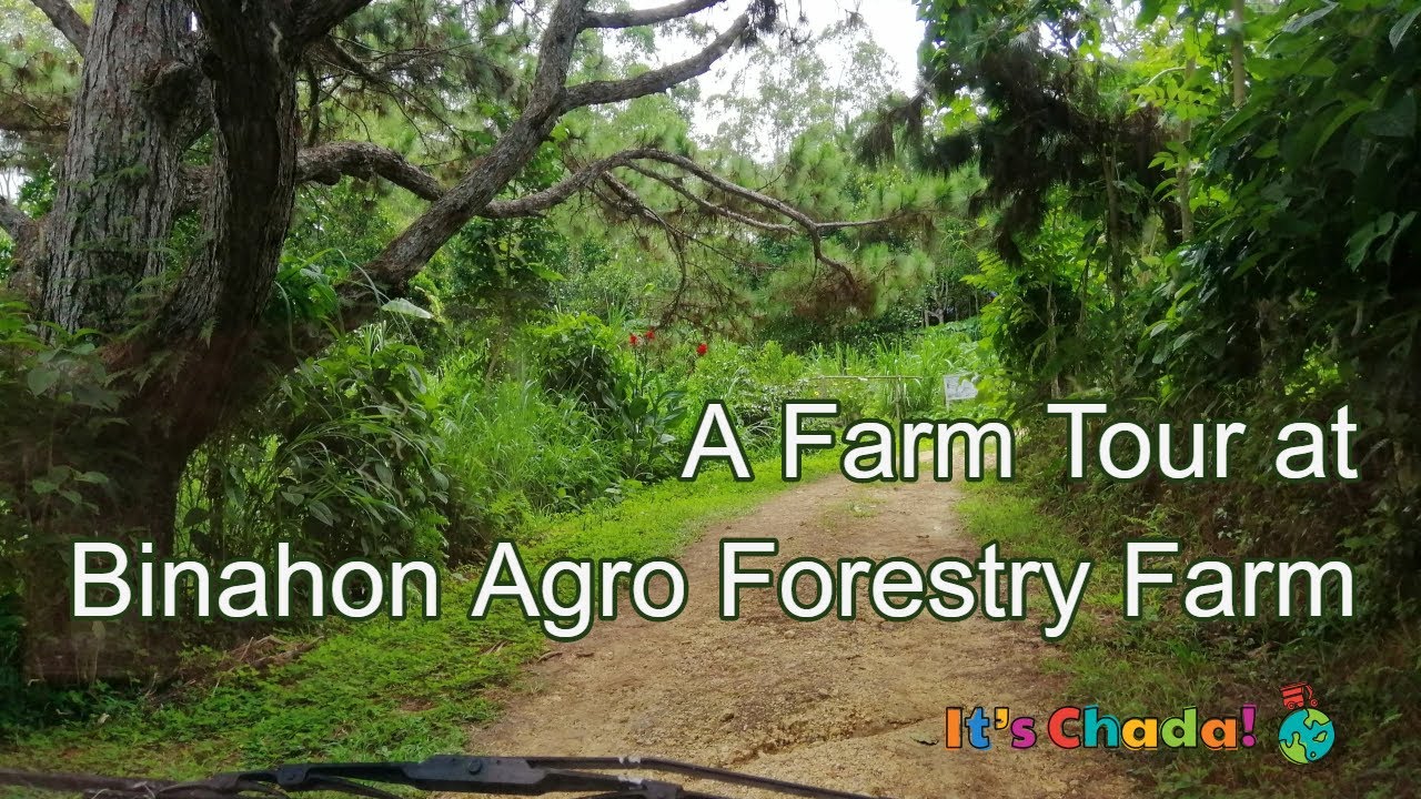 Binahon Agro Forestry Farm Tour