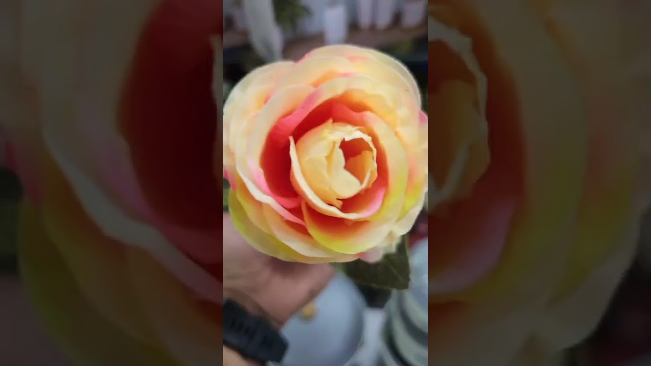 جديد بزار زمزم للاواني المنزلية المحل في مرشي سوق الفلاح البلاد سيدي بلعباس 