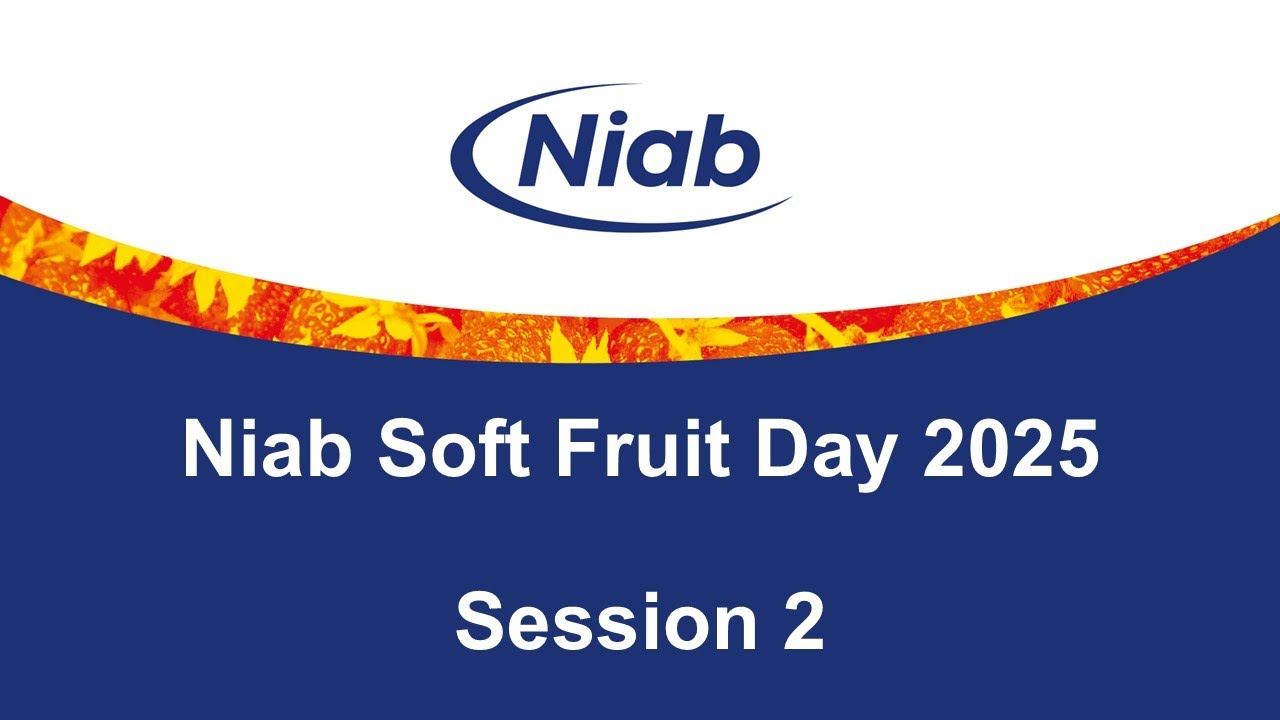 Niab Soft Fruit Day 2025: Session 2 - Improving resource use efficiency in soft fruit