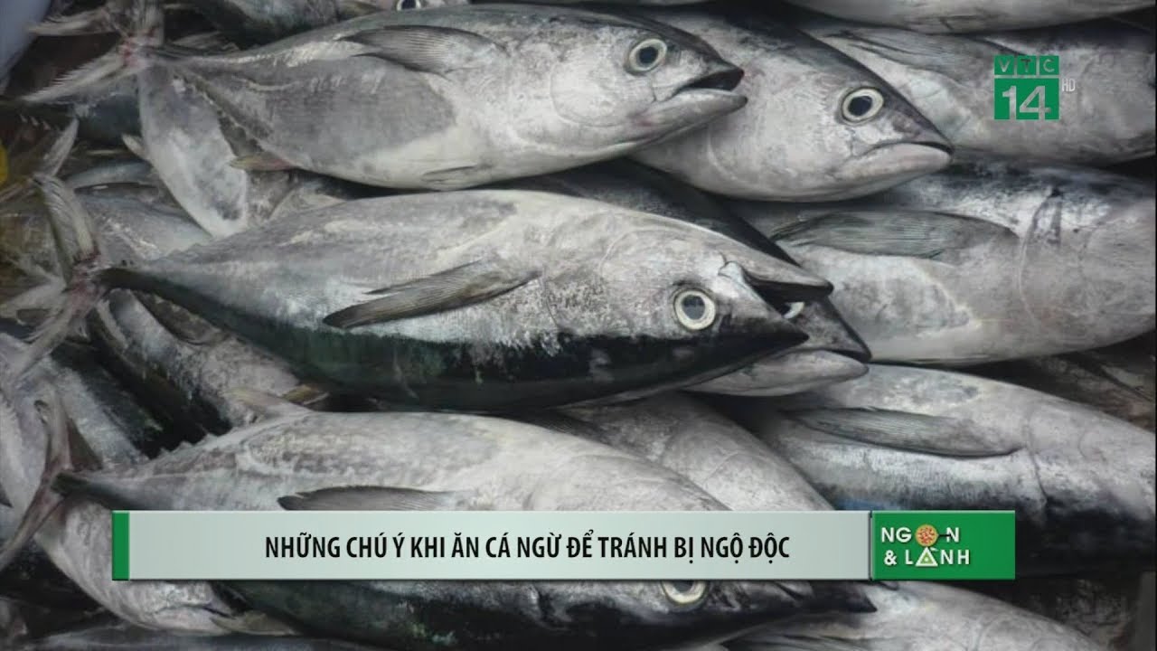 Những chú ý khi ăn cá ngừ để tránh bị ngộ độc | VTC14