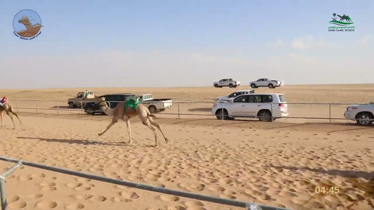 الشوط الاول زمول / علم ل عبدالهادي مسعود سعيد الفهيده المري