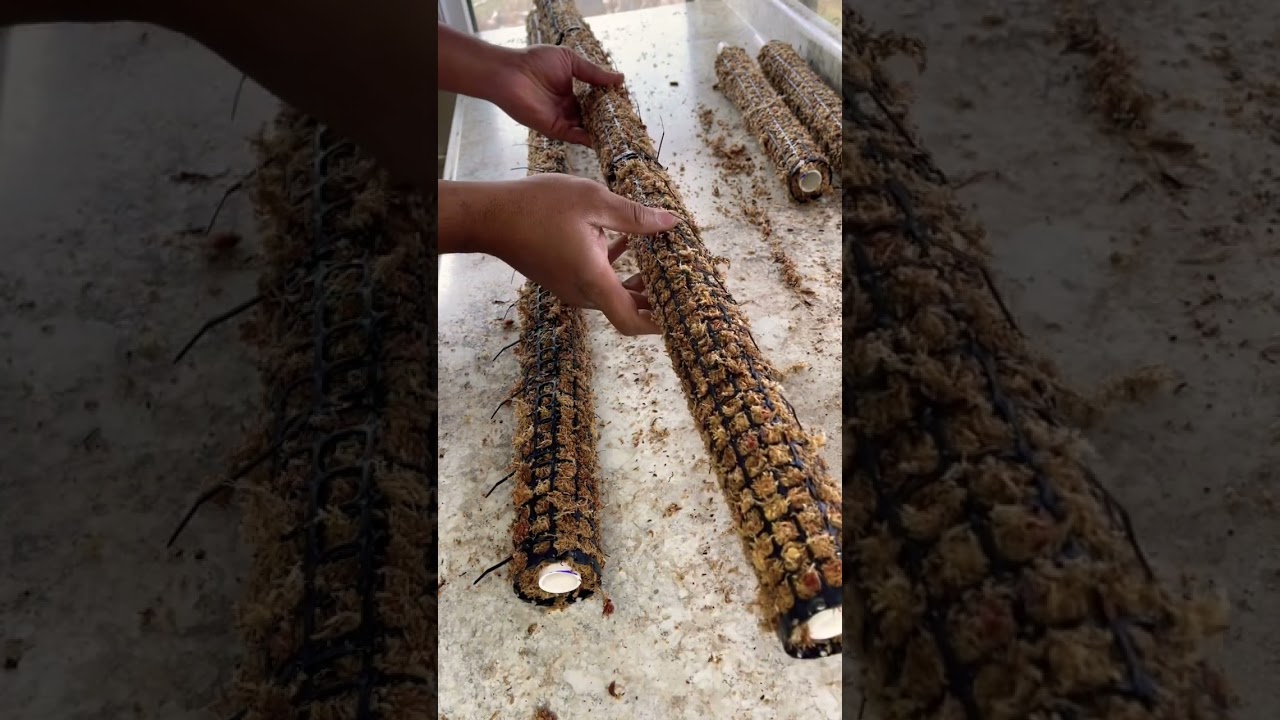 Stackable Sphagnum Moss Poles 