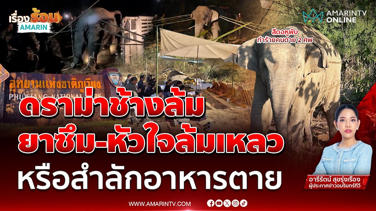 ใครบกพร่อง ทำ “พลายหูพับ” ช็อกตายคารถ | เรื่องร้อนอมรินทร์