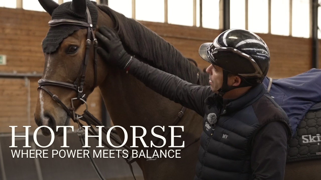 HOT HORSE | WHERE POWER MEETS BALANCE