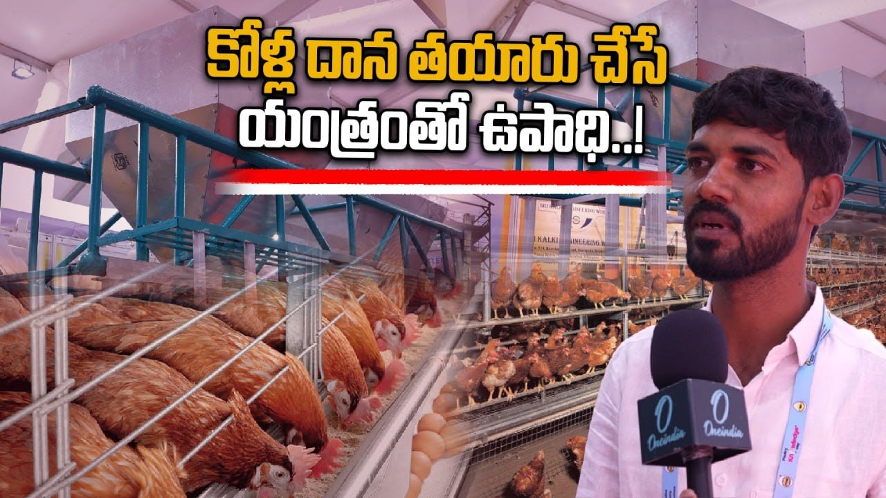 Poultry India expo 2025:  2 లక్షల పెట్టుబడితో మంచి లాభం..! | Oneindia Telugu