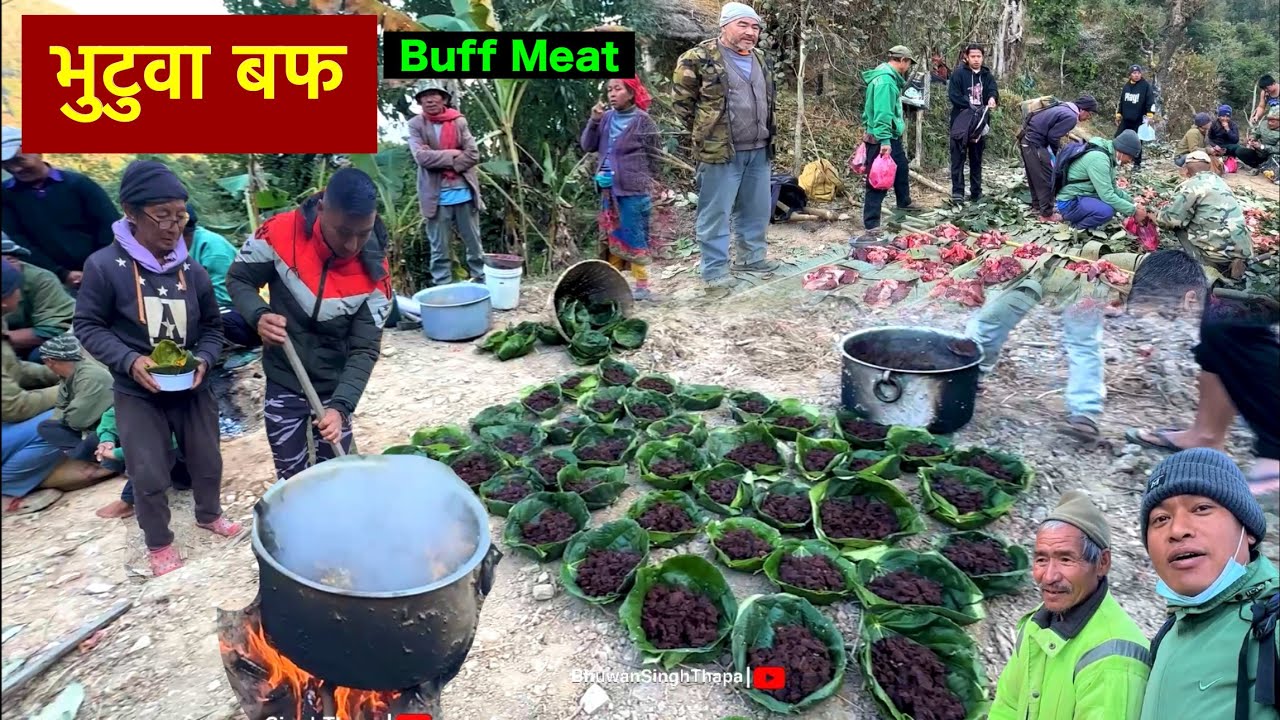 बफ भुटुवा गाउॅंलेहरुको / Buffalo Bhutuwa Cooking & Eating In Village Nepal / Bhuwan Singh Thapa