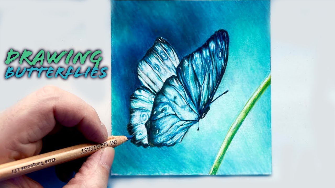 Drawing A Butterfly With Derwent Lightfast Coloured Pencils