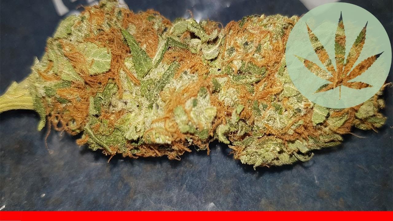Peaches And Cream - All About This Strain