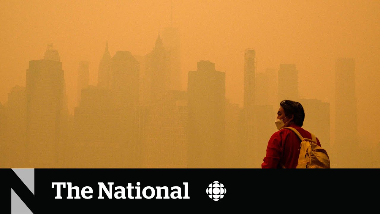 COP28 ‘Health Day’ explores impacts of climate change on the human body