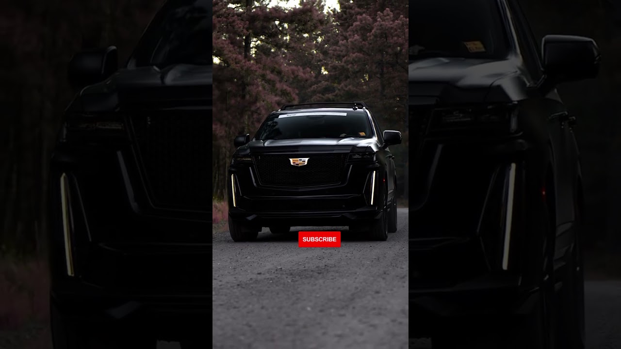 ESCALADE🦍 