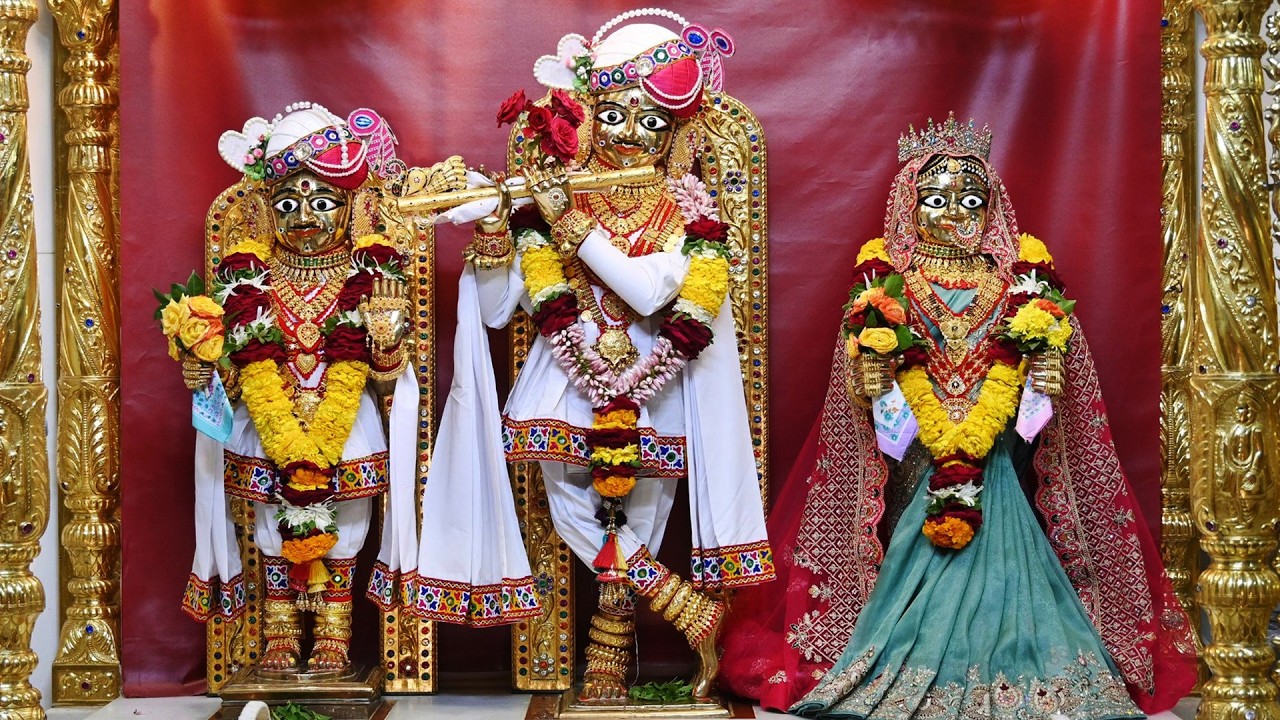 છ ધામના દેવોના આજના દિવ્ય શણગારના દર્શન તા:- ૨૦ /- ૦૨ /- ૨૦૨૬ | Daily Darshan