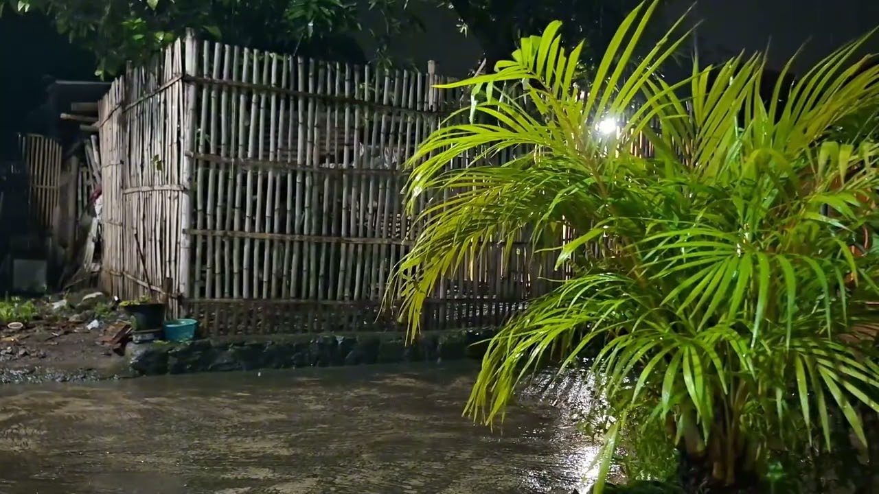 Calming Rain Ambience for Focus, Meditation, and Relaxing