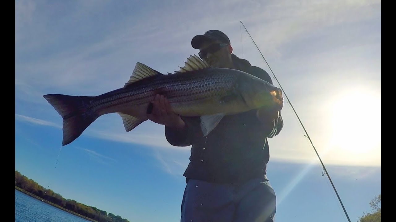 Cape Cod Canal Fishing May 2017