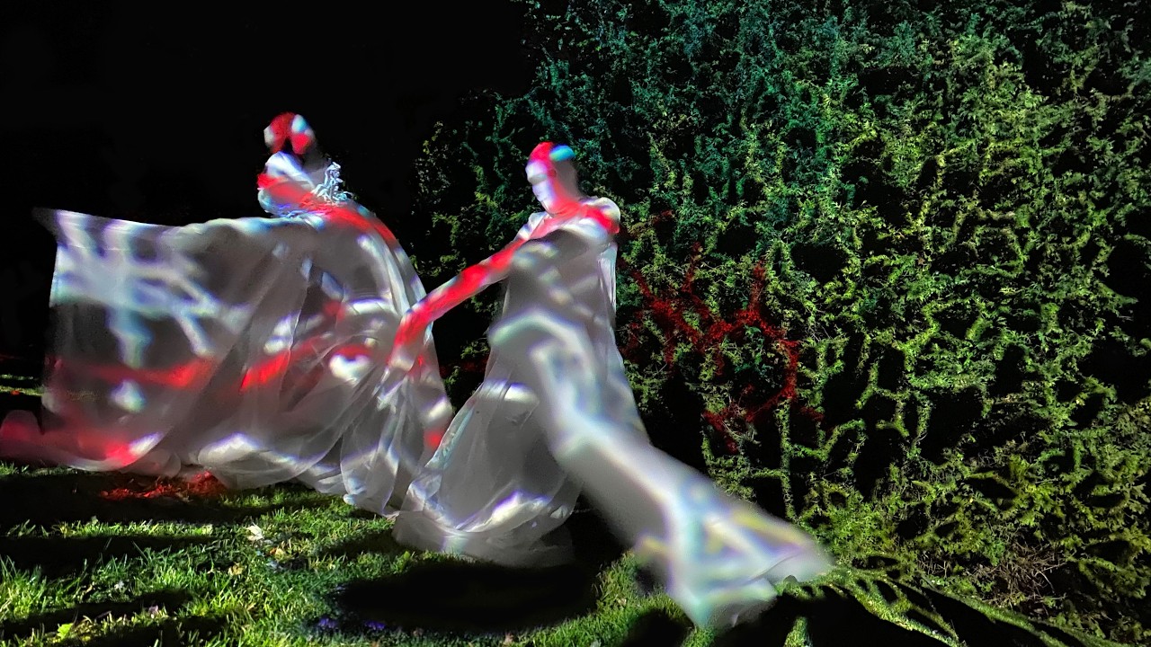 The Annotated IAM by Radha Chaddah