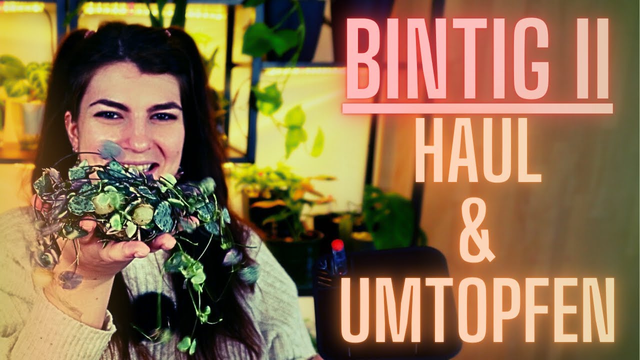 Ein letztes mal umtopfen 2024 - Bintig Haul #2
