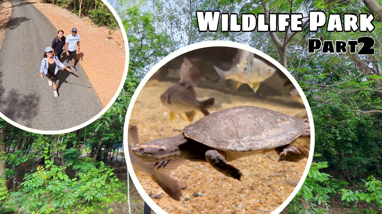 Exploring Territory Wildlife Park Darwin | Australia Travel Vlog