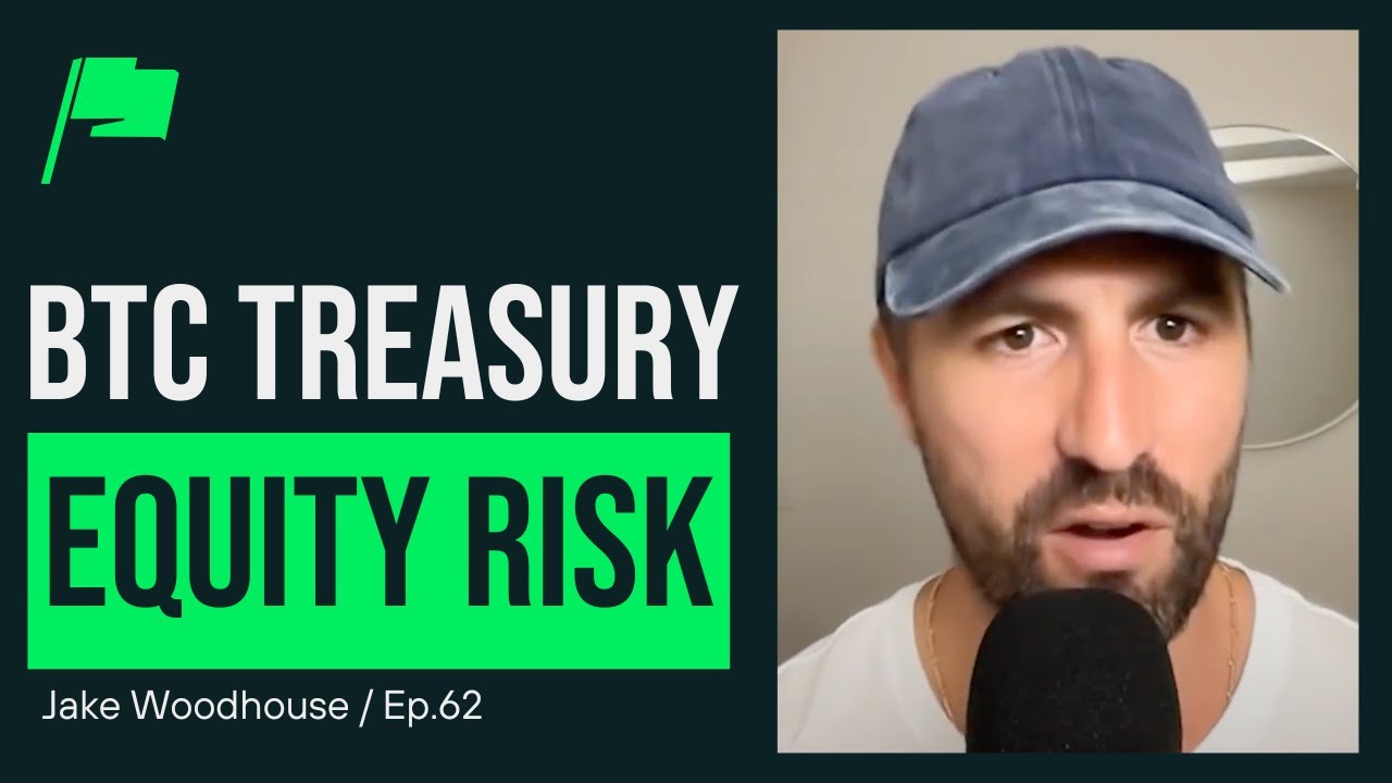 The Risks of Bitcoin Treasury Stocks...(MSTR Crash?)