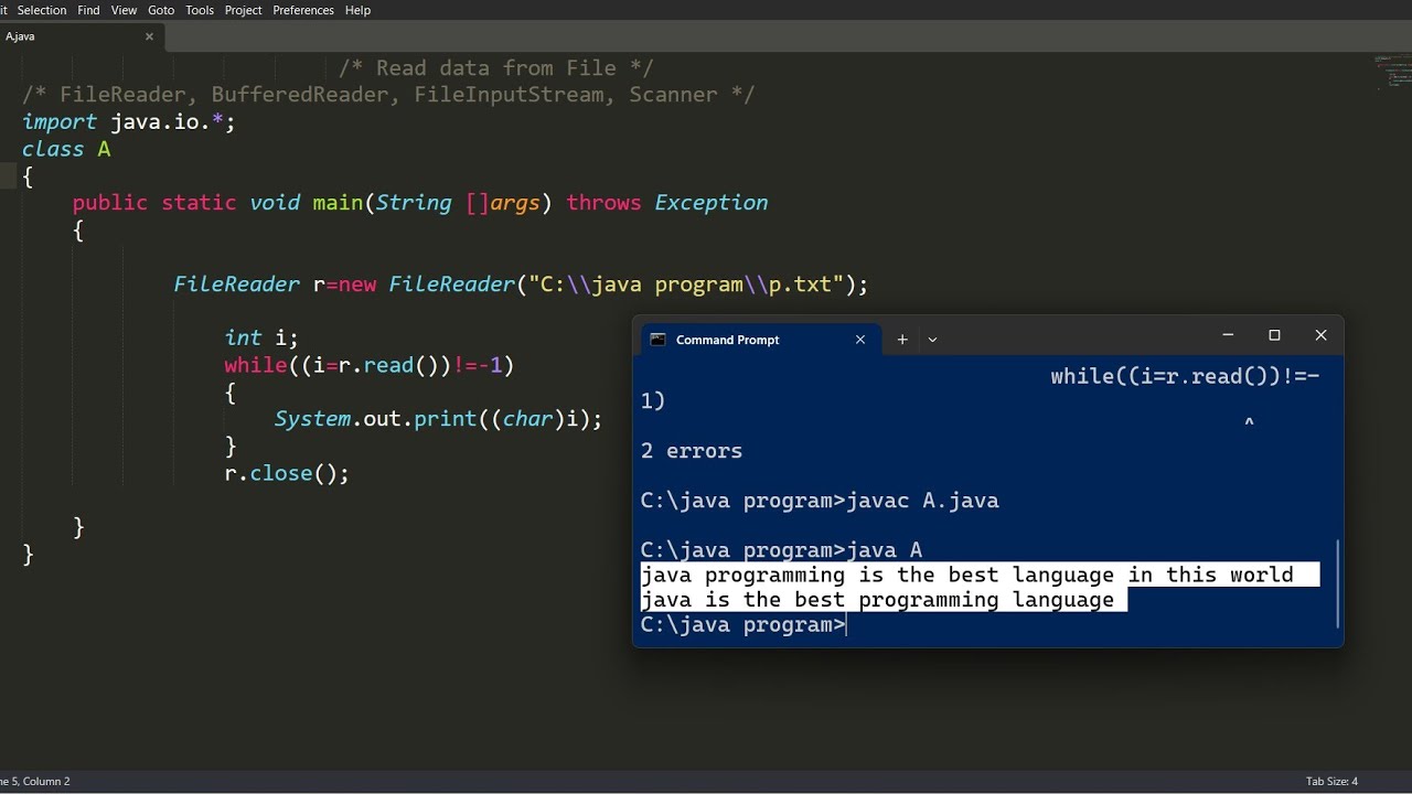 java program to read text from file | java programming