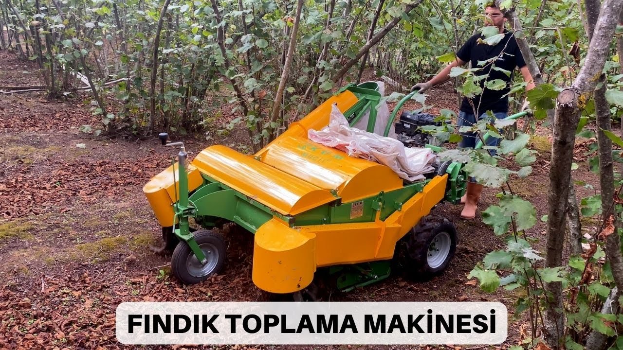 FINDIK TOPLAMADA BÜYÜK KOLAYLIK  | FINDIK TOPLAMA MAKİNESİ İLE İLK TECRÜBEMİZ....
