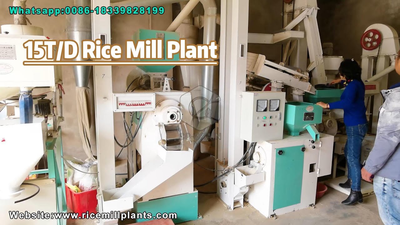 15T/D Rice Mill Machine Export to Africa | Trusted Supplier Co-Grain 