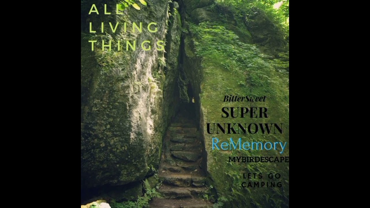 bittersweet. - Alllivingthings