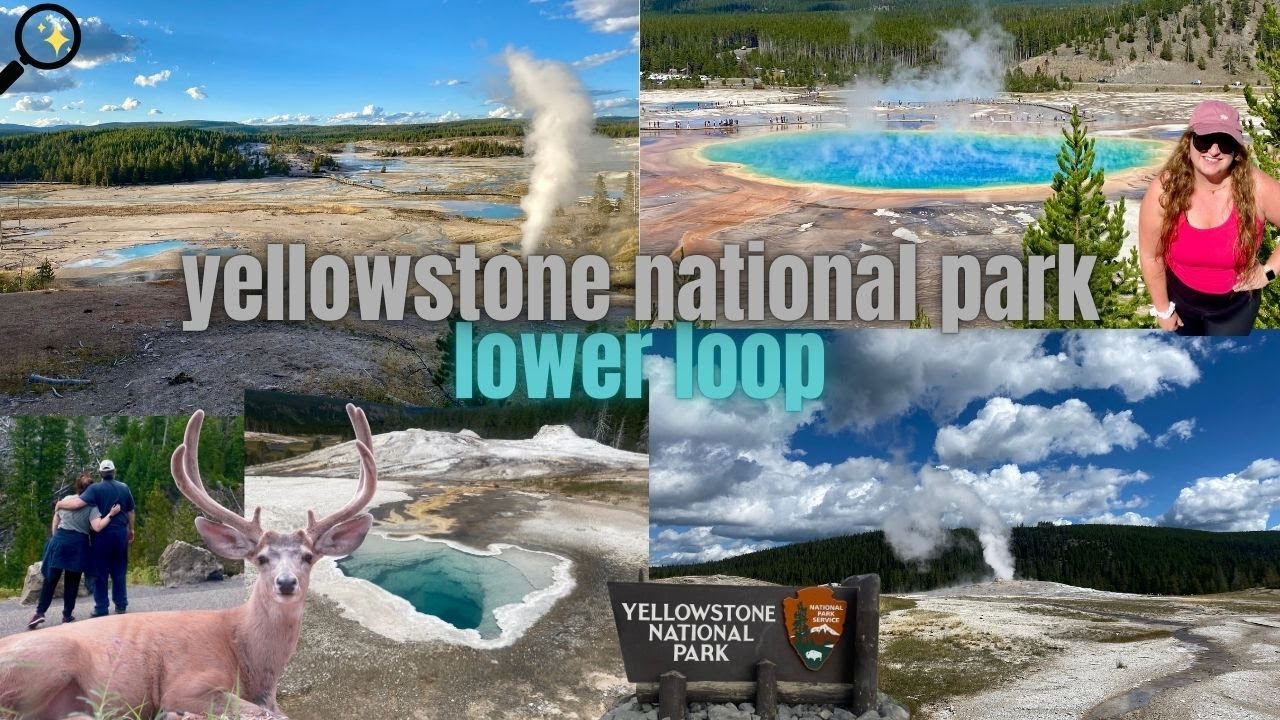 YELLOWSTONE NATIONAL PARK: lower loop | old faithful, grand prismatic, norris geyser basin & more!