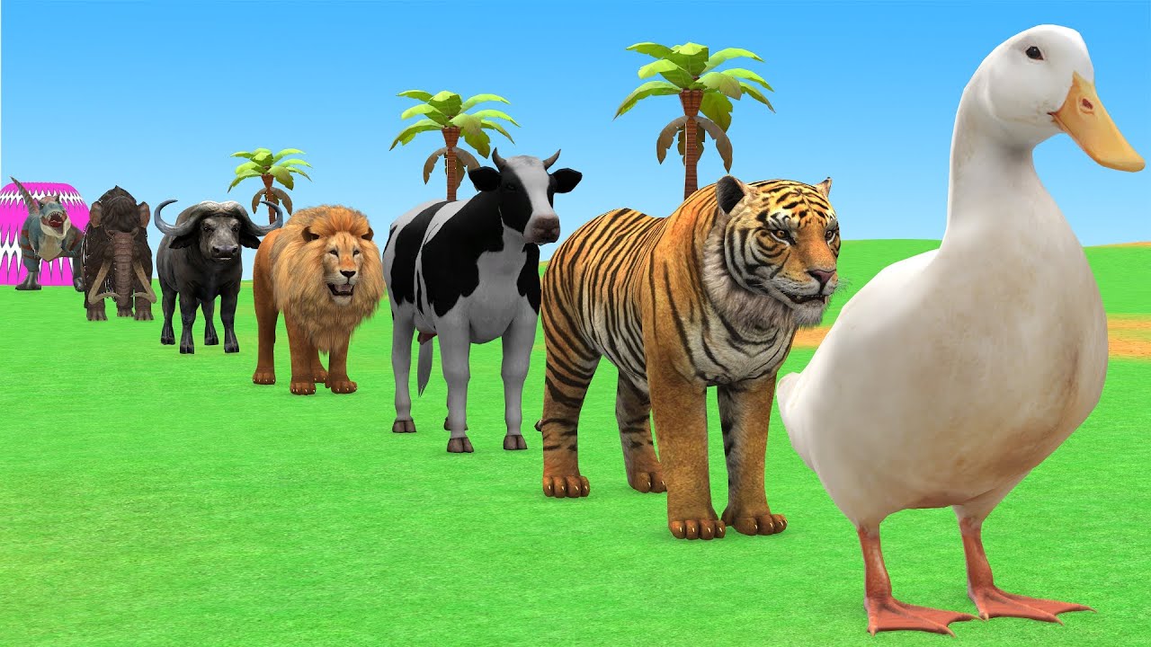 Long Slide Game with Cow Elephant Gorilla Hippopotamus Tiger 3d Animal Game Funny 3d Animals