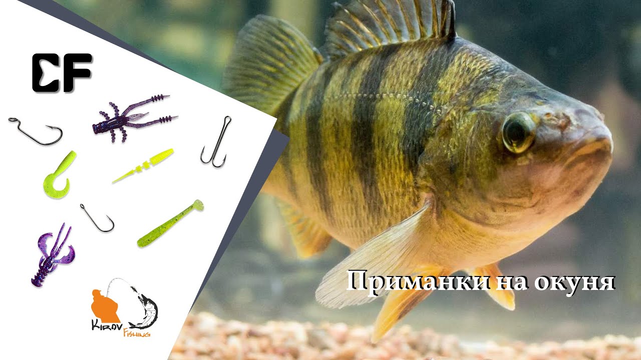 Окунь не устоит от этих приманок  Клёвая резина для ловли окуня на микроджиг от CF