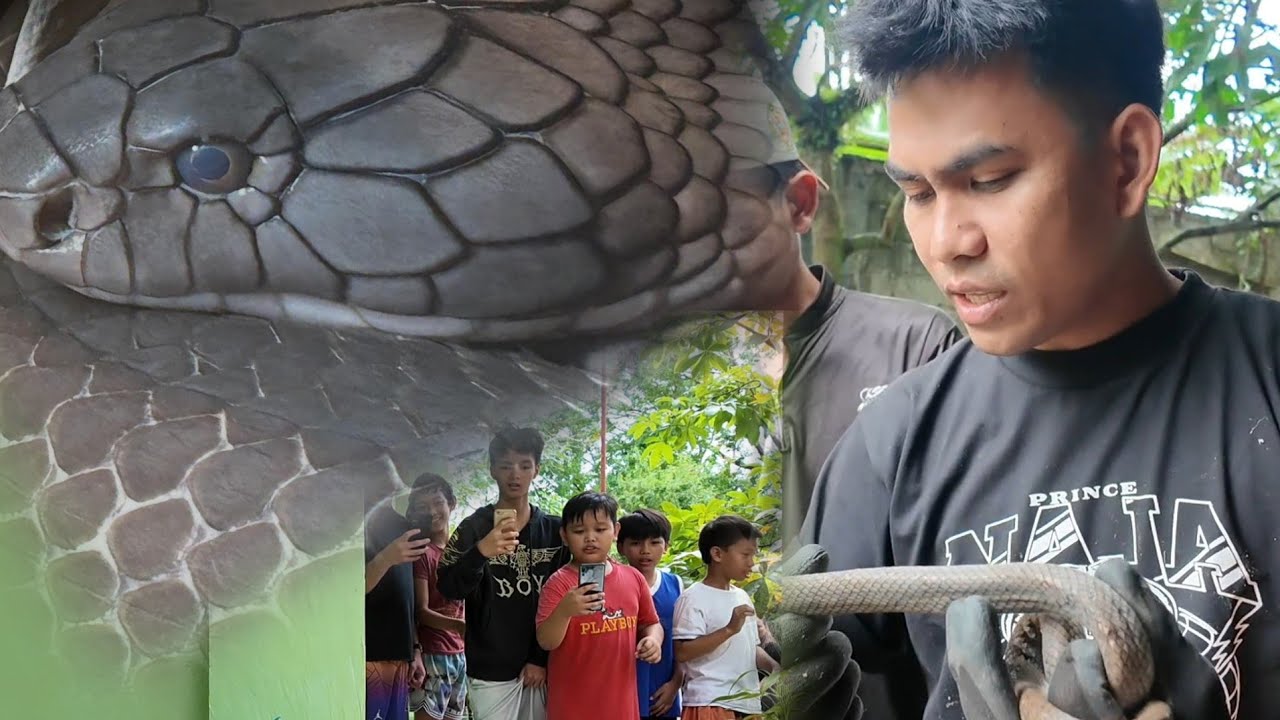 KINATATAKUTANG NILALANG SA PILA LAGUNA
