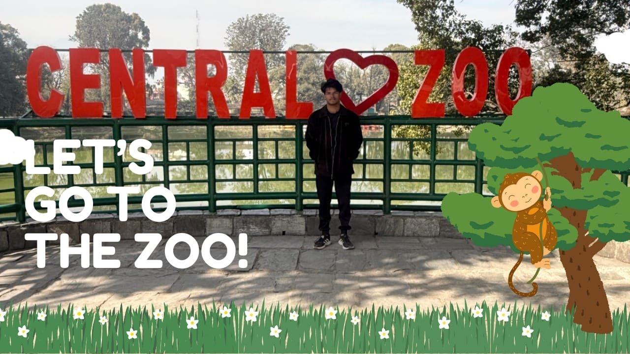 Visiting Central Zoo | Wild Tiger, Leopard & Crocodile Experience #visiting #centralzoo