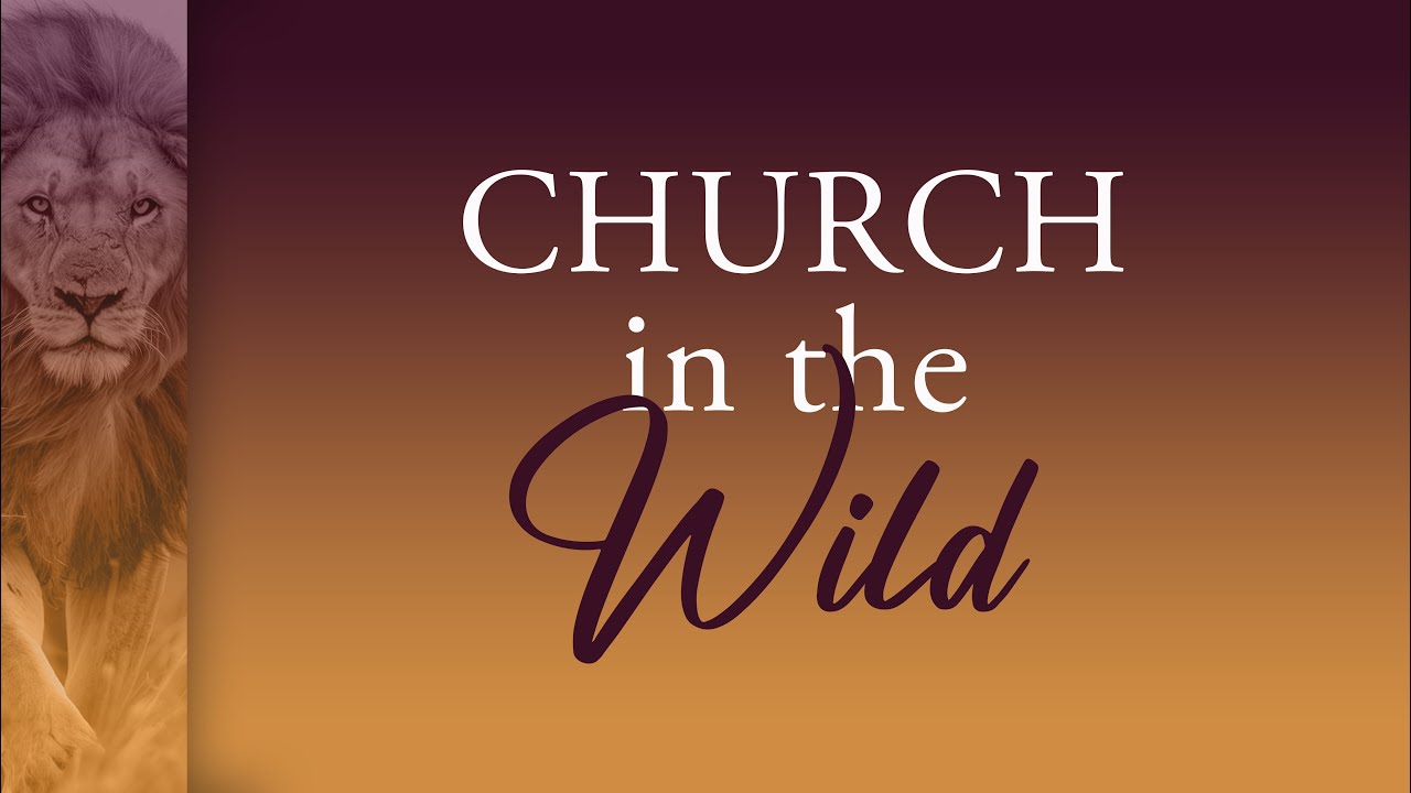 Church in the Wild: Part 2