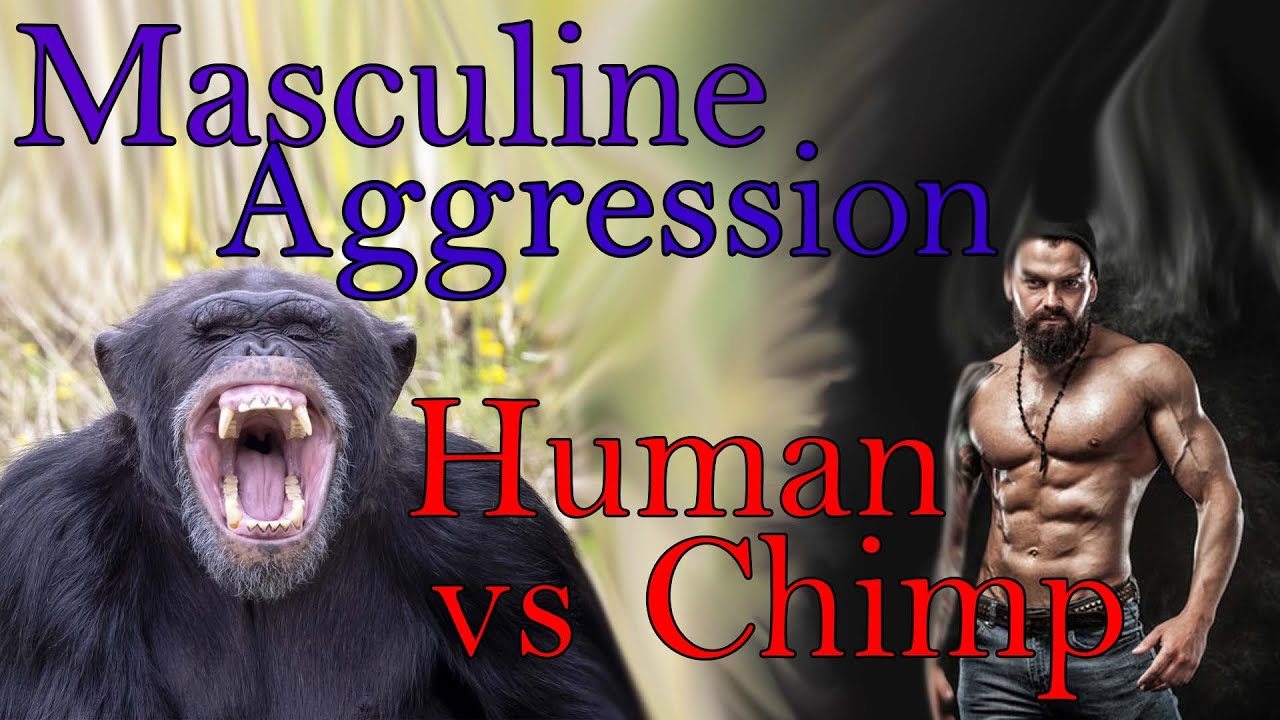 A Psychological Exploration of Human vs. Chimpanzee Aggression