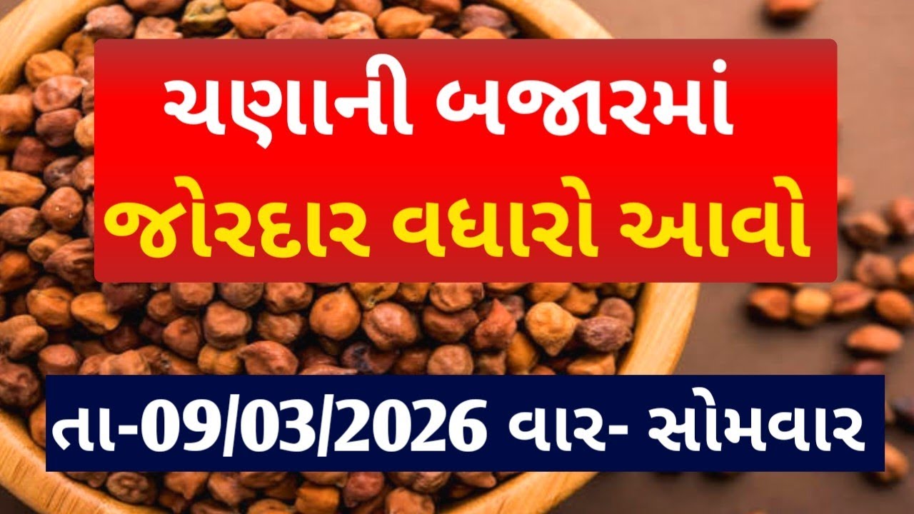 આજના ચણાના ભાવ|| 09/03/2026 ચણાની બજારમાં તેજી આવી|| જાણો આજના તમામ માર્કેટના ભાવ #ચણાના_ભાવ #ચણા 