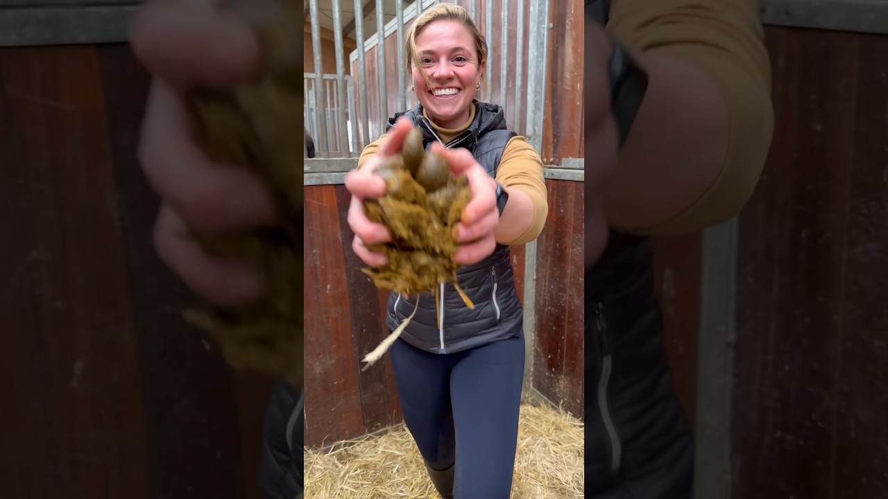 Pferdehofliebe - &Auml;ppel in der Tr&auml;nke!😂 #horse #equestrian #pferdehofliebe #pferd #fy #comedy