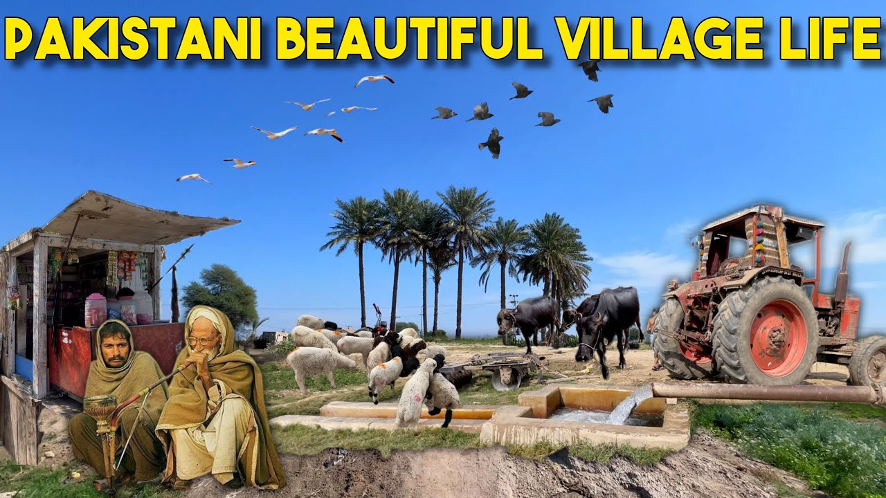 Sindh Village Life In Winter | Unseen Culture in Sindh Pakistan | Unseen Sindh