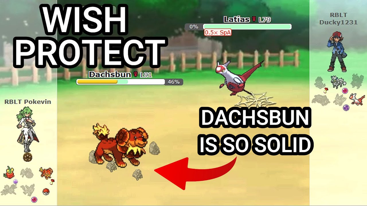 Dachsbun Is So Good! (Pokemon Showdown Random Battles) (High Ladder)