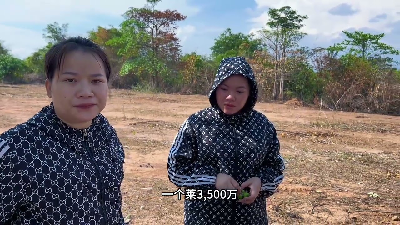老挝买块10万平的地种什么科学#老挝 #老挝农村生活 #买地#种草 #海外华人
