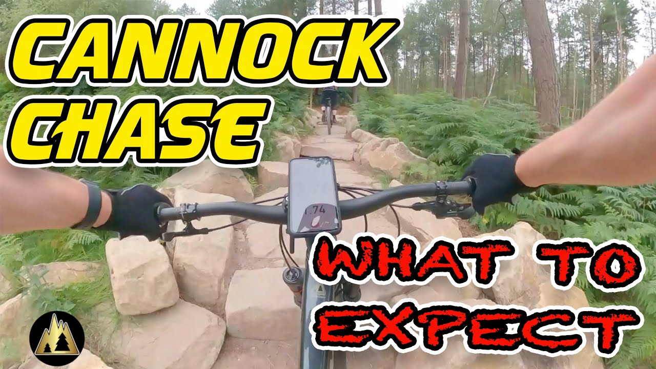 Cannock Chase MTB Trails - What To Expect
