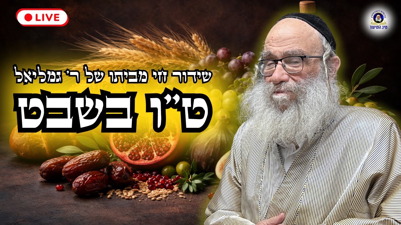 משדר מיוחד - הרה