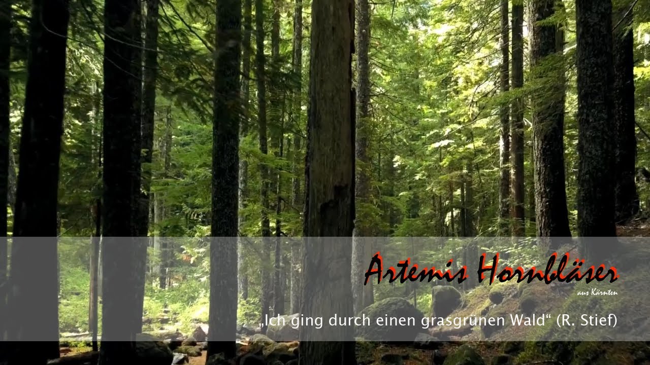 Ich ging durch einen grasgrünen Wald - R. Stief