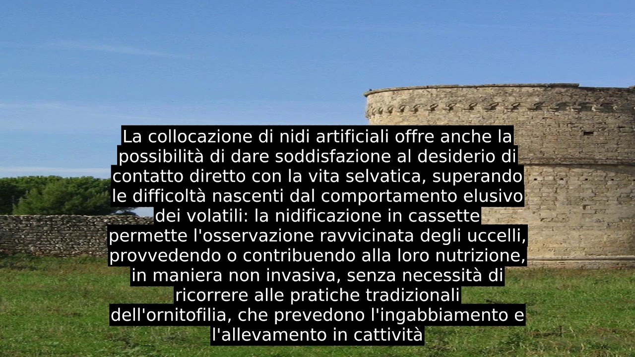 Nido Artificiale