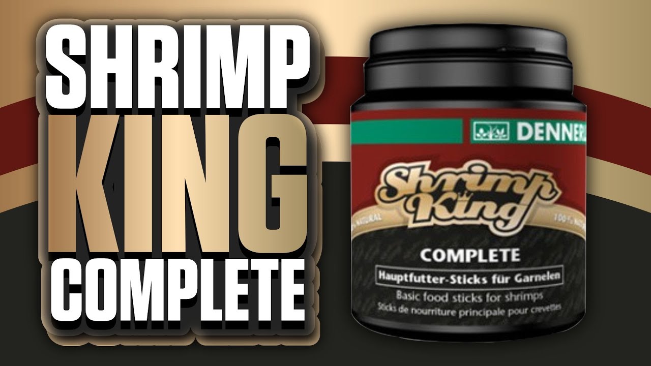 Shrimp King Complete Review - Is Shrimp King Food Worth The Price (Cherry Shrimp/Amano Shrimp Tests)