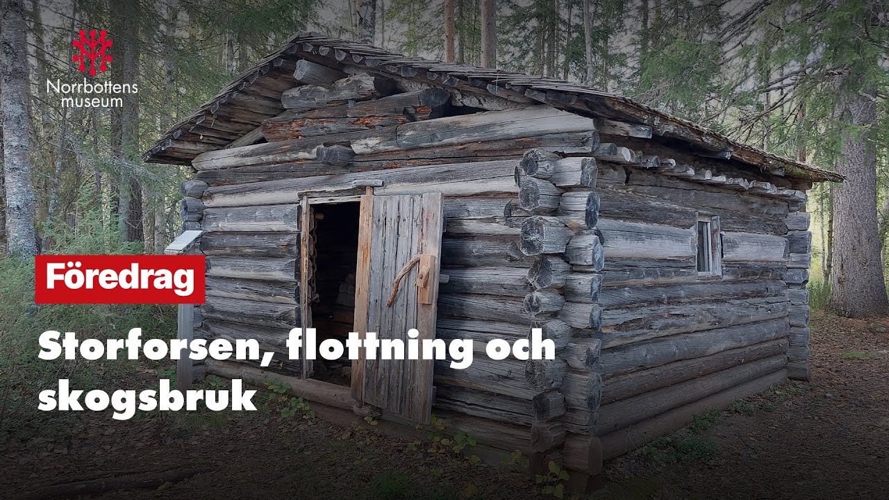Storforsen, flottning och skogsbruk | Norrbottens museum